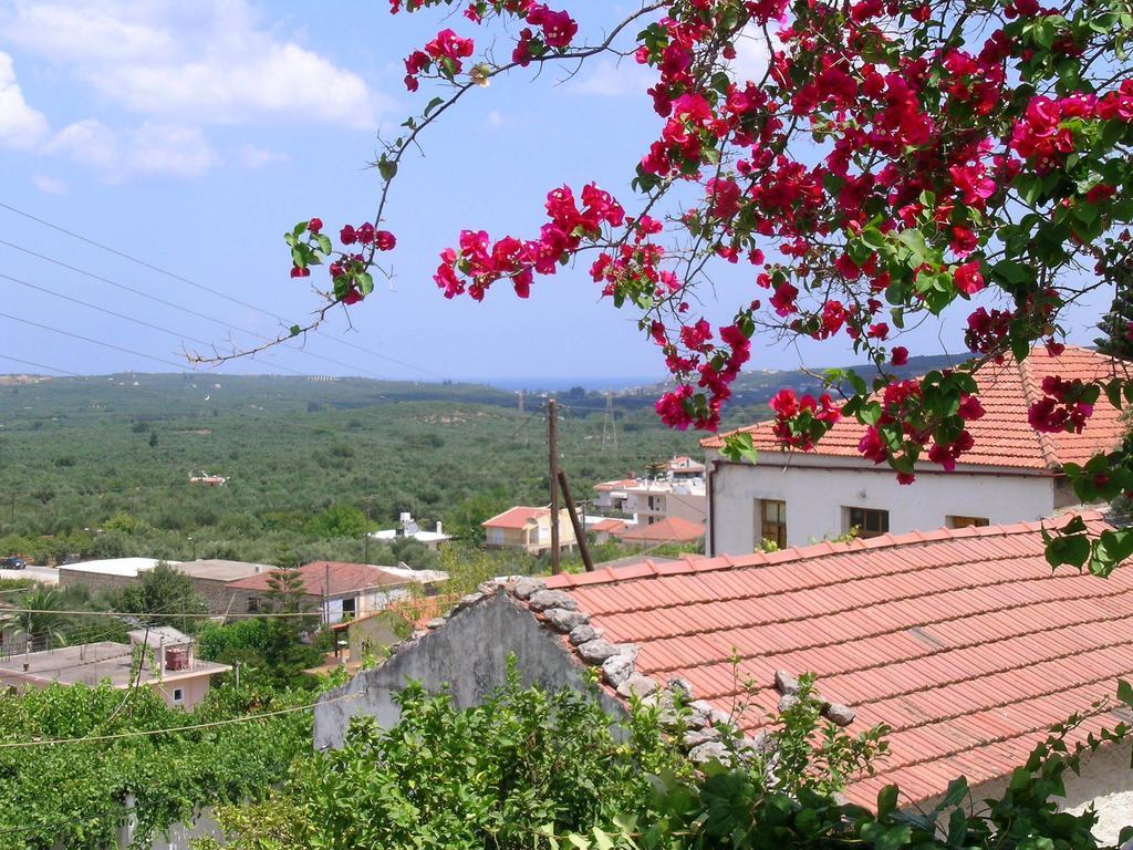Fenareti Village House Makhairoi Bagian luar foto